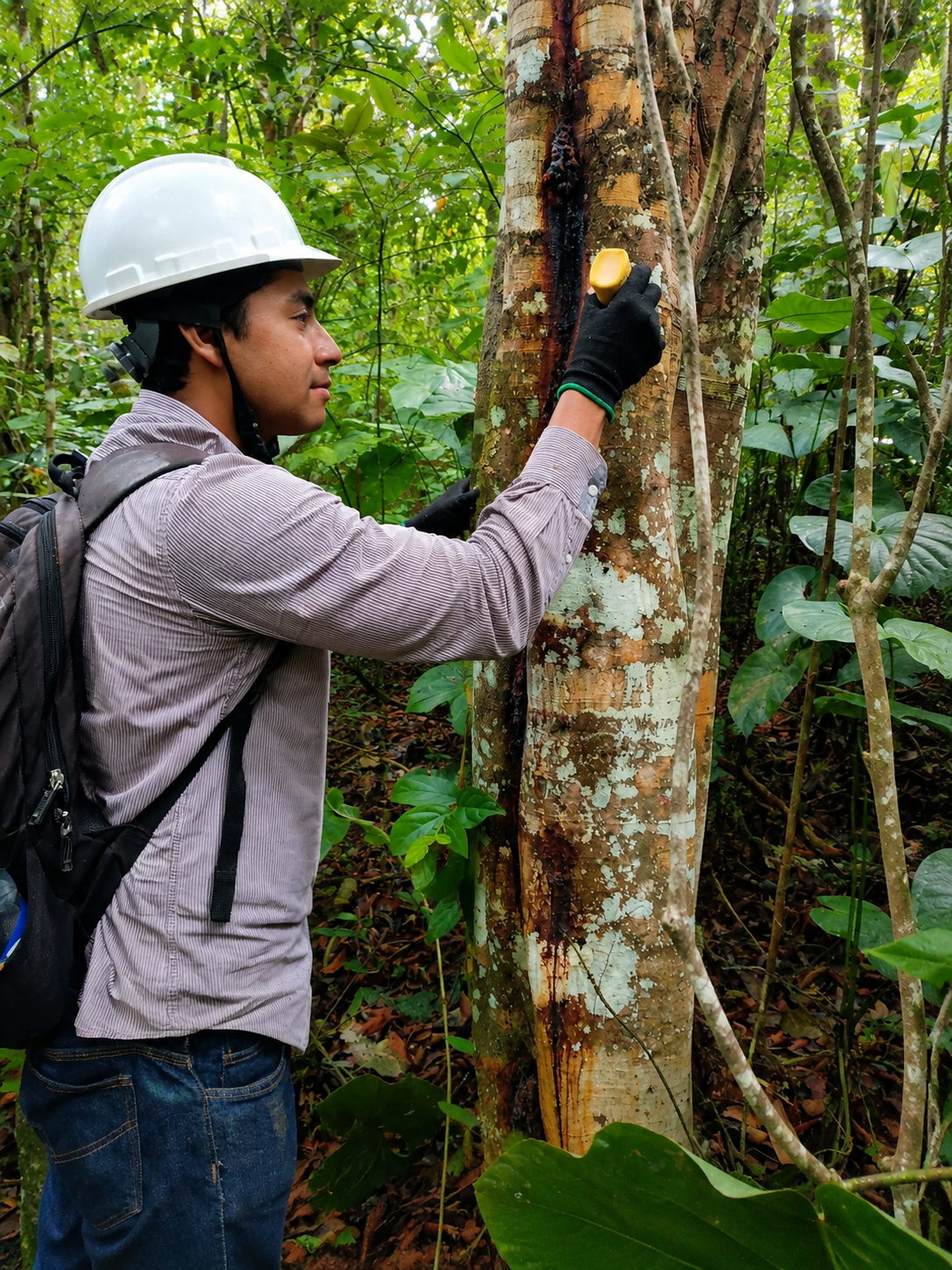Foto de proyecto de Georecursos en ejecución